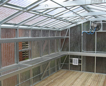A big greenhouse with double shelving allows space and room for growing more green plants.